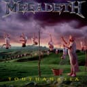 Youthanasia cover