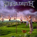 Youthanasia (Expanded Edition - Remastered) cover