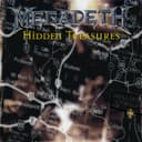 Hidden Treasures cover